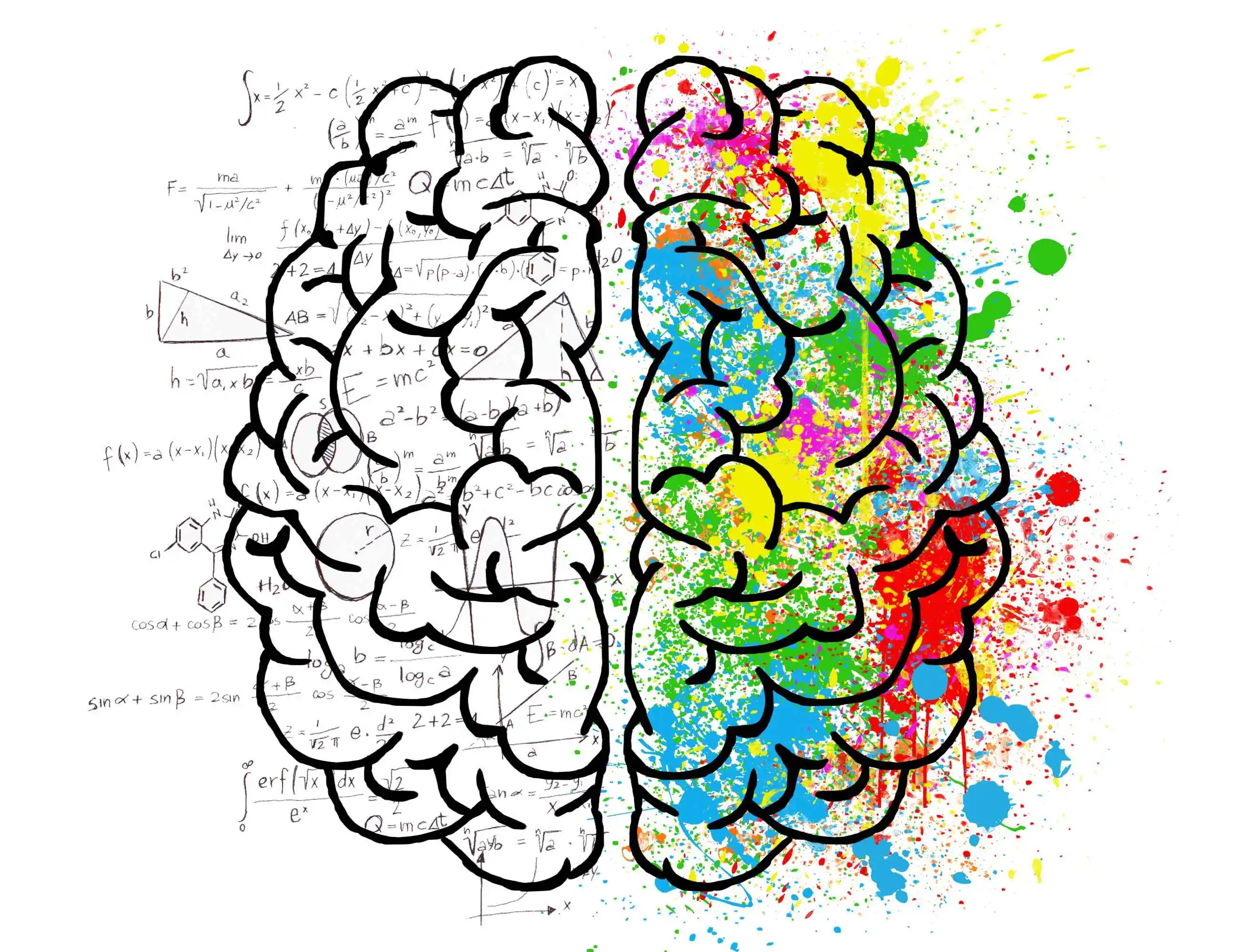 Illustration of a human brain split into two hemispheres — the left half filled with black-and-white mathematical formulas and scientific symbols, symbolizing logic and analysis, while the right half is brightly colored with paint splatters, representing creativity, emotion, and artistic expression.